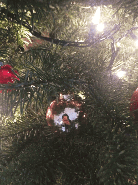 Animated loop of my reflection in a Christmas Oranment. Created with PHHHOTO.