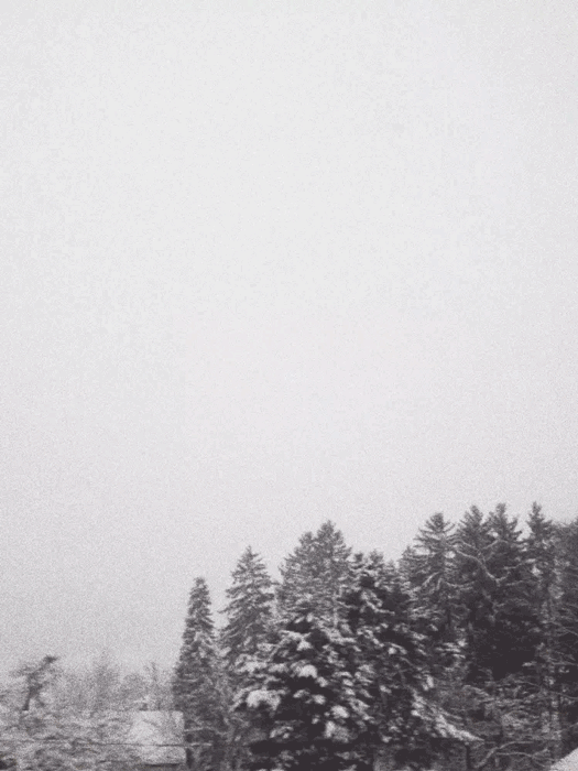 Animated loop of a snow-covered street in Thurgau, Switzerland. Created with PHHHOTO.